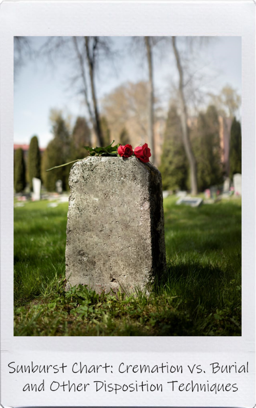 A polaroid photo of a worn down headstone with a rose on top, labelled 'Sunburst Chart: Cremation vs. Burial and Other Disposition Techniques.'